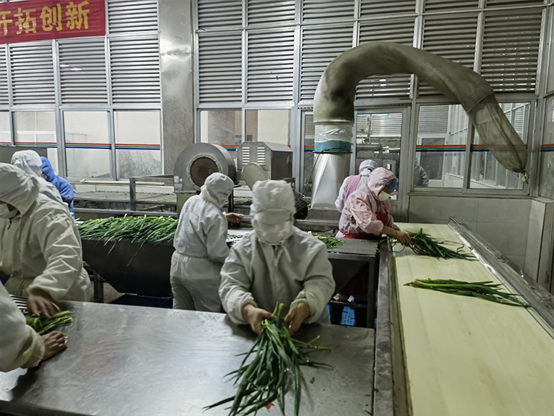 煙臺脫水蔥圈系列1