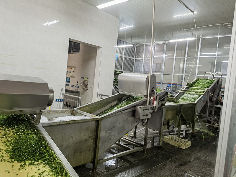 煙臺脫水蔥圈系列4