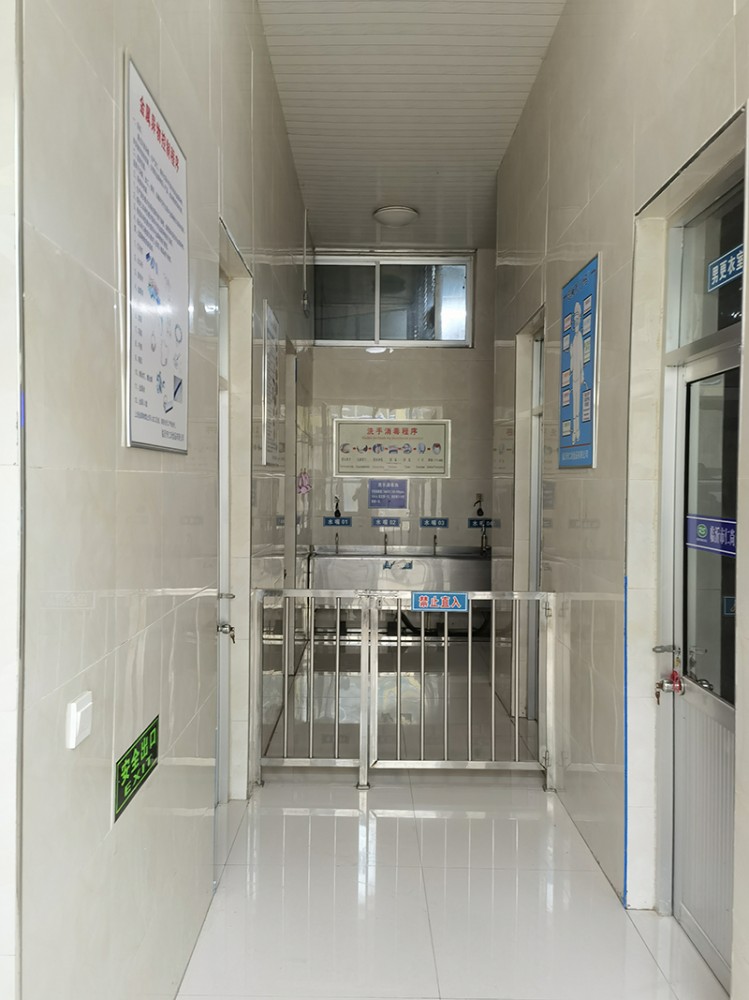 煙臺脫水蔥圈系列5