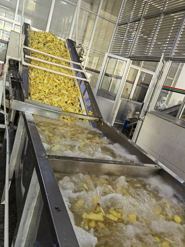 煙臺脫水姜片系列3