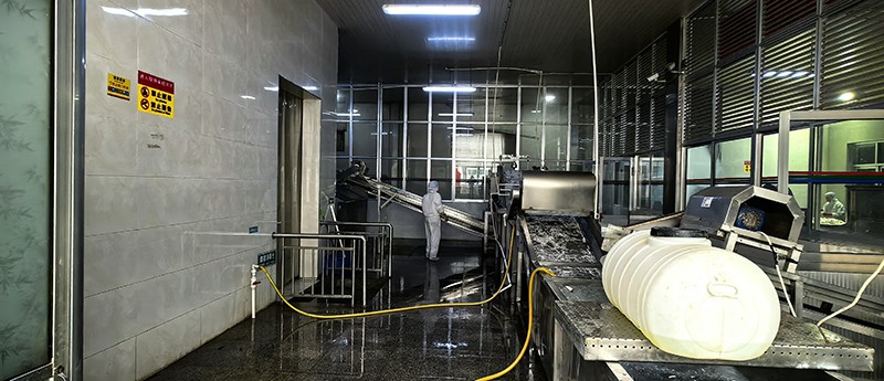 煙臺脫水蘿卜系列7