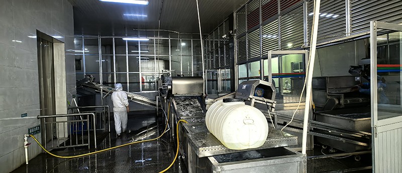 煙臺脫水蘿卜系列8