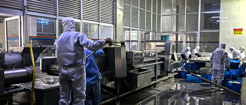 煙臺脫水蘿卜系列9