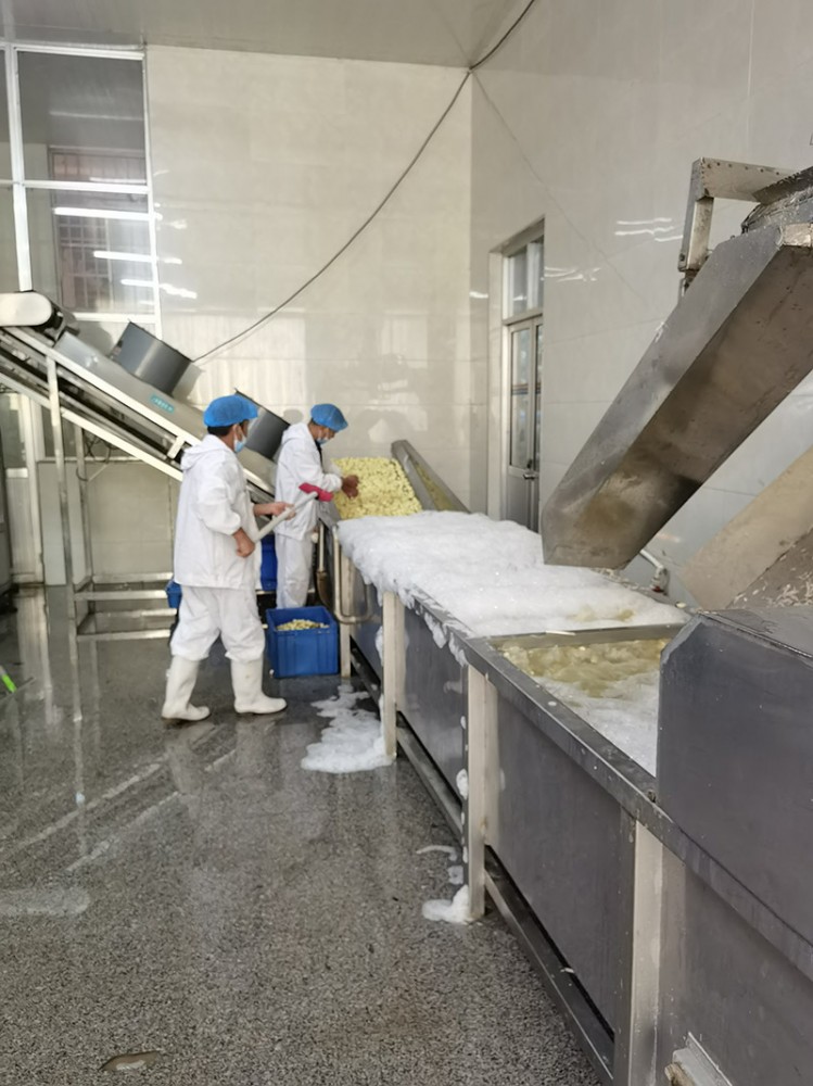 煙臺脫水蒜片系列