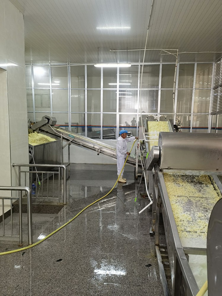 煙臺脫水蒜片系列3